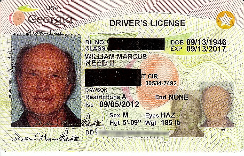 Georgia Drivers License Renewal - treealien